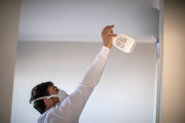 Best Fast Mold Removal  in Pinewood Estates, TX