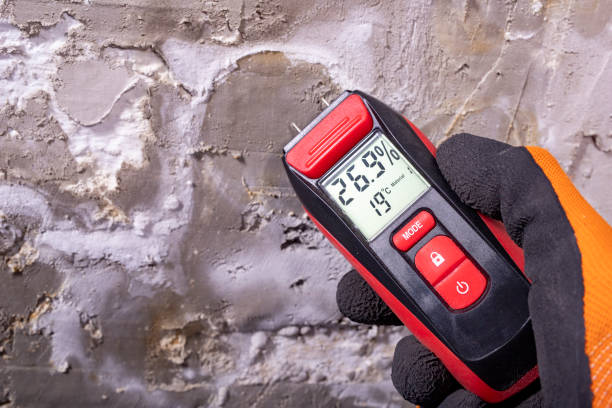 Best Emergency Mold Removal  in Pinewood Estates, TX