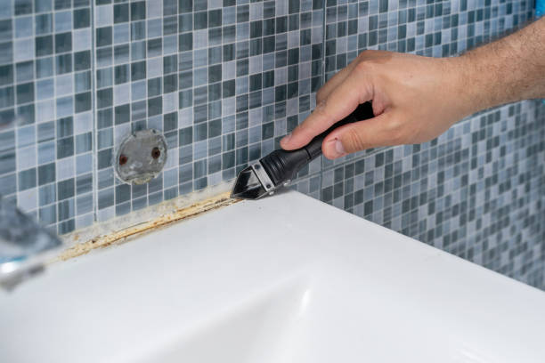 Best Affordable Mold Removal  in Pinewood Estates, TX