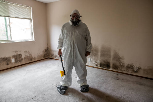 Best Crawl Space Mold Removal  in Pinewood Estates, TX